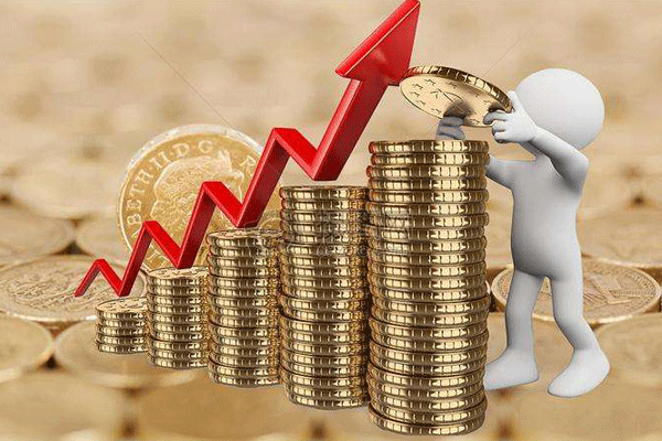 個人獨資企業(yè)